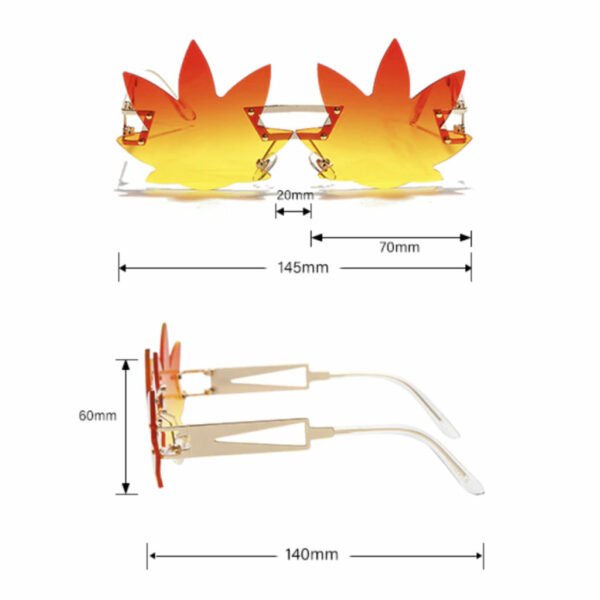 SUNGLASSES: CANNAVISION