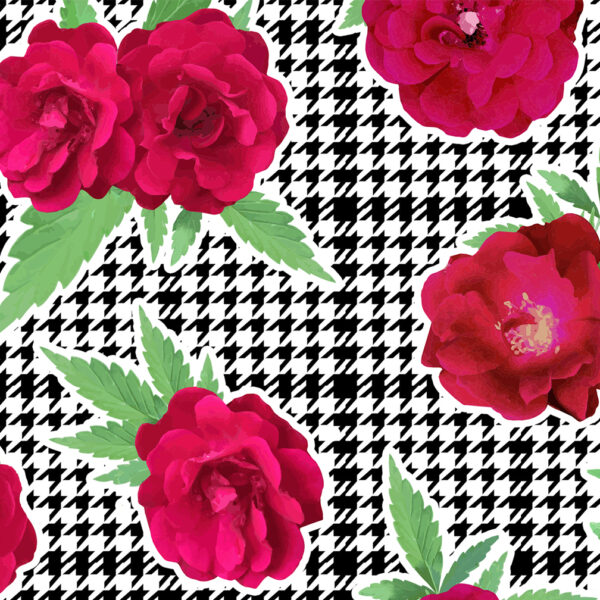 SNEAKERS: ROSES AND TERPS
