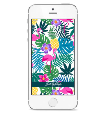 just get high_iphone_pineapple express print