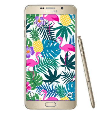 samsung_phone_pineapple express print_phone