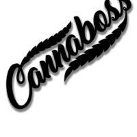 XL DECAL: CANNABOSS SWISH