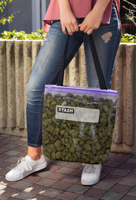 Canvas Tote: Stash